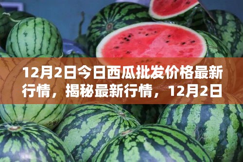 揭秘最新行情，深度解析12月2日西瓜批發(fā)價格走勢及最新行情