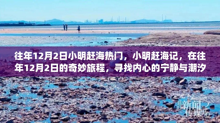 小明趕海記，尋找潮汐之聲與內(nèi)心的寧?kù)o之旅