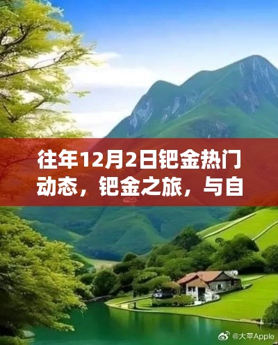 鈀金之旅，與自然美景相遇，探尋內(nèi)心寧靜的熱門動態(tài)回顧