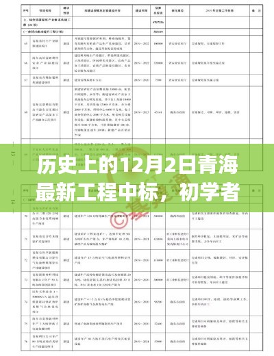 歷史上的12月2日青海最新工程中標，初學者與進階用戶的全程指南