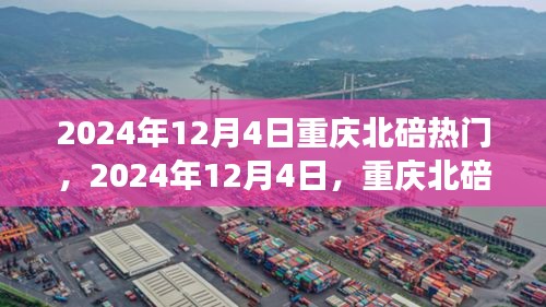 2024年12月4日重慶北碚之旅，探尋自然美景，重拾心靈寧?kù)o