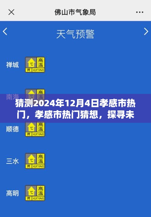 探尋孝感市未來魅力風(fēng)采，2024年12月4日熱門猜想與風(fēng)采展望