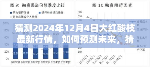 2024年預(yù)測，大紅酸枝最新行情展望與步驟指南