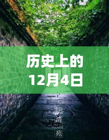 歷史上的12月4日潁上易景售樓盛況揭秘，巷陌間的夢(mèng)幻售樓空間獨(dú)特記憶