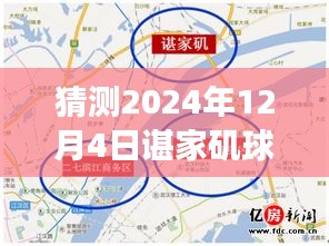 諶家磯球場最新動態(tài)展望，未來賽事猜想（2024年12月4日）