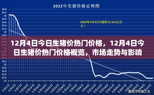 12月4日生豬價熱門概覽，深度解析市場走勢與影響因素