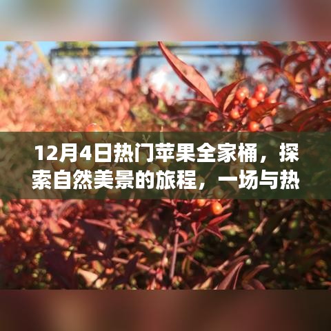 蘋(píng)果全家桶冬日之旅，探索自然美景的奇妙邂逅