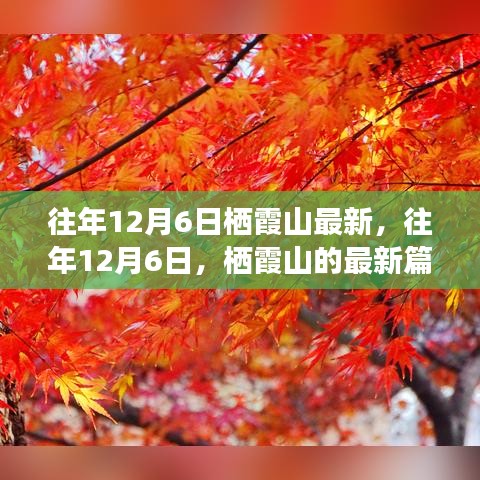 往年12月6日棲霞山深度解析，歷史、事件與地位的新篇章