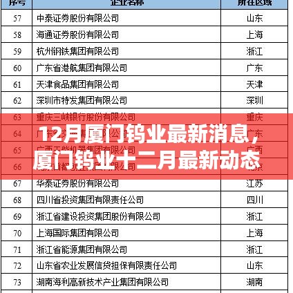 廈門鎢業(yè)十二月最新動態(tài)概覽，最新消息概覽