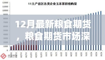 聚焦糧食期貨市場深度洞察，十二月最新動態(tài)與市場趨勢