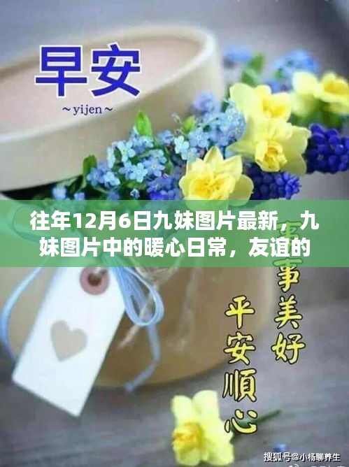 往年12月6日九妹圖片回顧，暖心日常與友誼的溫馨回憶