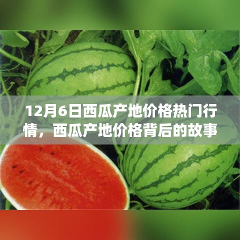 12月6日西瓜產(chǎn)地價格深度解析，變化的力量與自信的種子