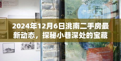 探秘洮南小巷寶藏，揭秘二手房市場最新動態(tài)與獨特小店的奇遇記（最新資訊，2024年12月6日）