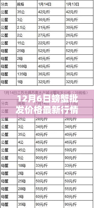 12月6日螃蟹批發(fā)價格最新行情，12月6日螃蟹批發(fā)價格最新行情詳解，入門指南與關鍵步驟