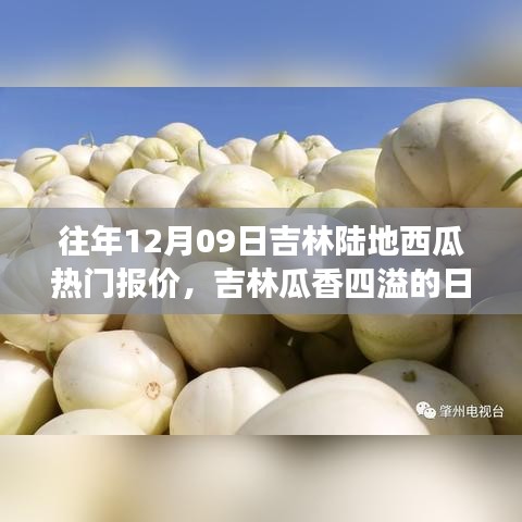 吉林瓜香四溢的日子，瓜農的溫馨故事與陸地西瓜熱門報價回顧