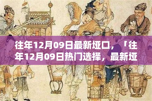 往年12月09日最新埡口產(chǎn)品評測與介紹，熱門選擇詳解