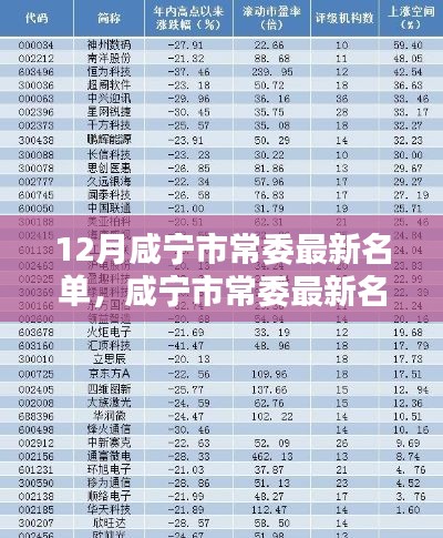 12月咸寧市常委最新名單，咸寧市常委最新名單科技新品亮相，智能時代，革新未來體驗