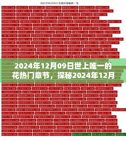 探秘世上唯一的花，揭秘熱門章節(jié)三大要點（日期，2024年12月09日）