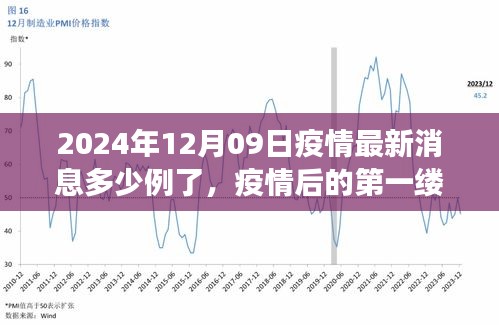 疫情最新消息下的自然美景之旅，啟程尋找內(nèi)心的寧?kù)o港灣（2024年12月09日）