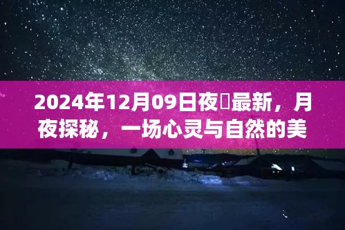 月夜探秘，心靈與自然的邂逅——記2024年12月09日夜廻之旅