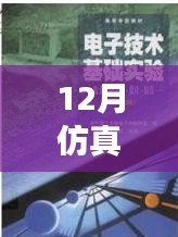 仿真之路，實時啟航，迎接自信與成就感的魔法時刻——十二月仿真需求解析