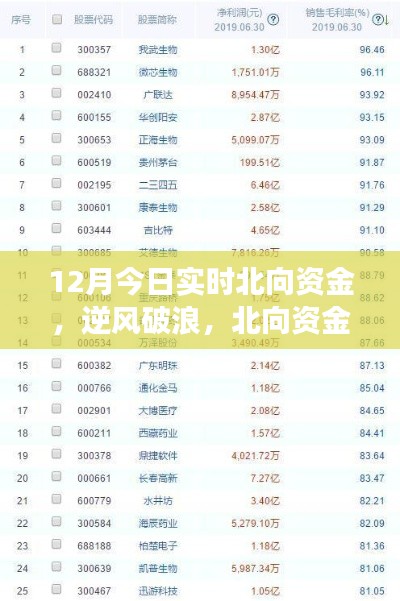 北向資金啟示下的成長(zhǎng)奇跡，12月實(shí)時(shí)洞察，自信成就夢(mèng)想之旅