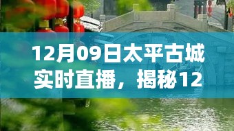 揭秘太平古城直播日，巷弄深處的獨(dú)特小店與探秘之旅