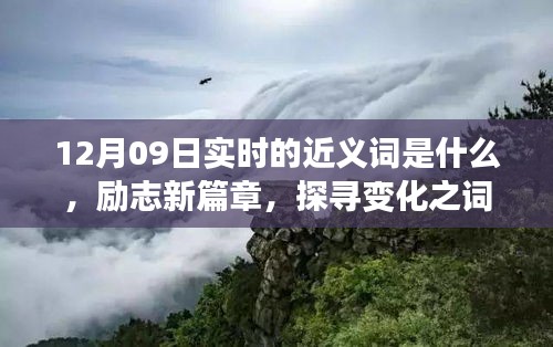 12月09日實(shí)時(shí)近義詞探索與勵(lì)志新篇章，探尋詞匯魔力，學(xué)習(xí)鑄就自信成就之橋