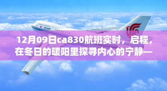 冬陽(yáng)下的奇妙之旅，CA830航班探尋內(nèi)心寧?kù)o的啟程