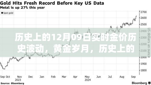 歷史上的黃金波動，揭秘12月09日的金價(jià)實(shí)錄