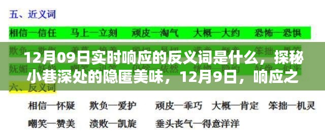 探秘實(shí)時(shí)響應(yīng)反義詞與小巷深處的隱匿美味，12月9日的探索之旅