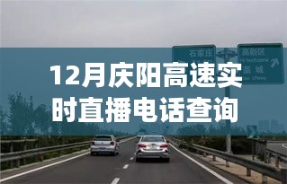 慶陽高速直播電話查詢背后的勵志故事，駕馭變化，駛向成功