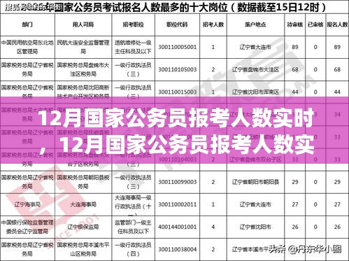 12月國(guó)家公務(wù)員報(bào)考人數(shù)實(shí)時(shí)分析與趨勢(shì)探討，數(shù)據(jù)、策略一覽