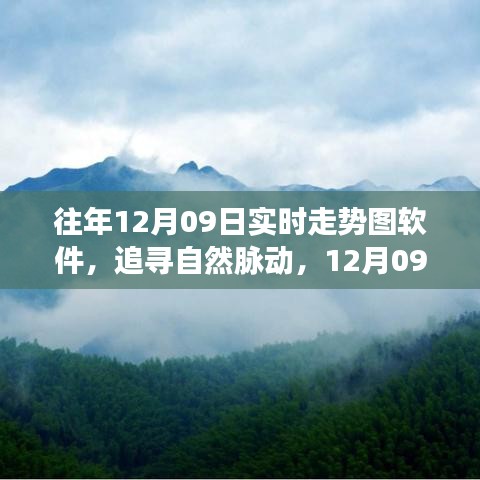 追尋自然脈動，12月09日走勢圖背后的心靈之旅與實時走勢圖軟件解析