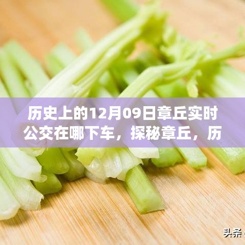 探秘章丘，歷史深處的公交軌跡與小巷美食寶藏——12月9日實時公交指南