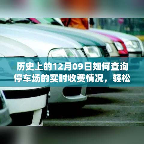 如何查詢停車場實(shí)時(shí)收費(fèi)情況？詳細(xì)步驟指南（歷史上的12月09日版）