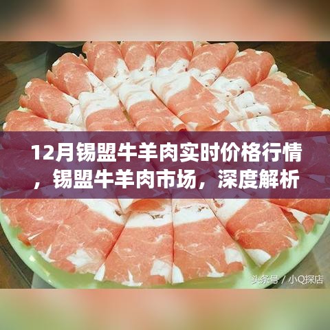 錫盟牛羊肉市場(chǎng)深度解析，十二月實(shí)時(shí)價(jià)格行情報(bào)告