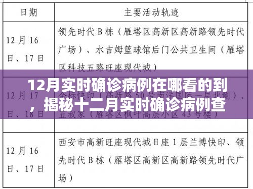 揭秘十二月實(shí)時(shí)確診病例查詢途徑，輕松掌握疫情動(dòng)態(tài)科普知識(shí)