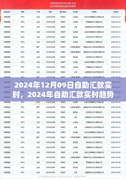 自助匯款實時趨勢下的金融革新，機遇與挑戰(zhàn)并存（2024年12月09日）