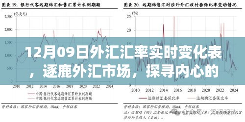 揭秘外匯市場(chǎng)風(fēng)云變幻，探尋匯率背后的故事——12月09日外匯匯率實(shí)時(shí)變化表解析