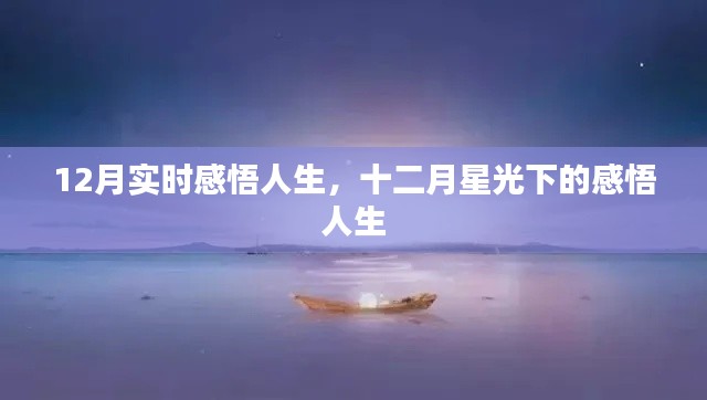 十二月星光下的實(shí)時(shí)人生感悟