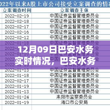 巴安水務實時情況詳解與操作指南，初學者與進階用戶適用的任務指南（12月09日）