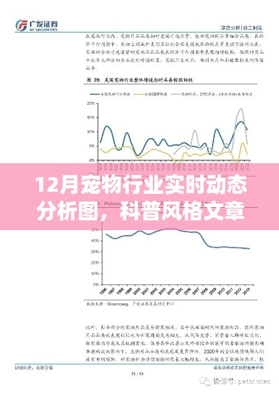 揭秘寵物行業(yè)趨勢，12月寵物行業(yè)實時動態(tài)科普分析圖