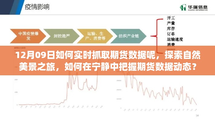 探索自然美景之旅與實時抓取期貨數(shù)據(jù)，寧靜中的動態(tài)把握策略