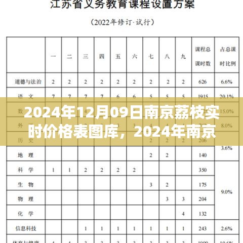 2024年南京荔枝實(shí)時(shí)價(jià)格表圖庫(kù)制作指南，從初學(xué)者到進(jìn)階用戶全攻略