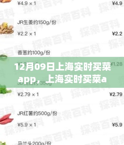 上海實時買菜app使用指南，從初學者到進階用戶的全方位指南（12月09日版）