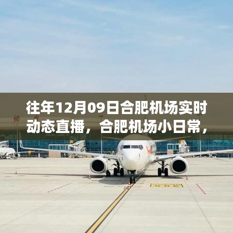 云端下的溫馨相遇，合肥機場12月9日實時動態(tài)直播小日常