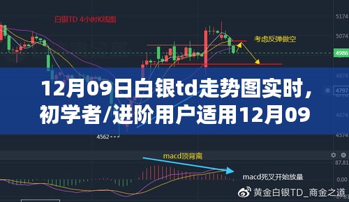 12月09日白銀TD走勢(shì)圖實(shí)時(shí)分析指南，適合初學(xué)者與進(jìn)階用戶(hù)