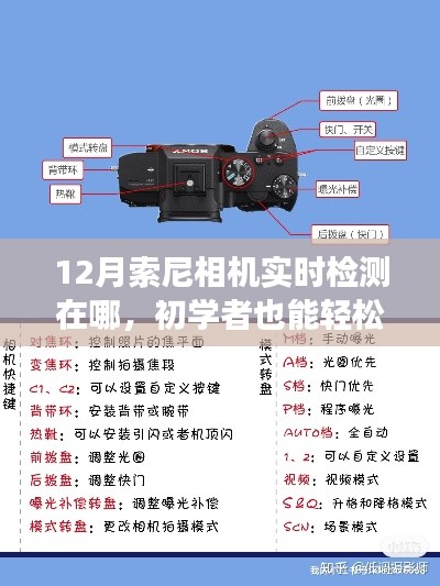 初學者也能輕松掌握！12月索尼相機實時檢測功能使用指南