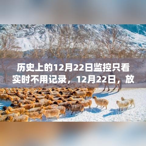 12月22日，放下記錄，心靈旅行的日子